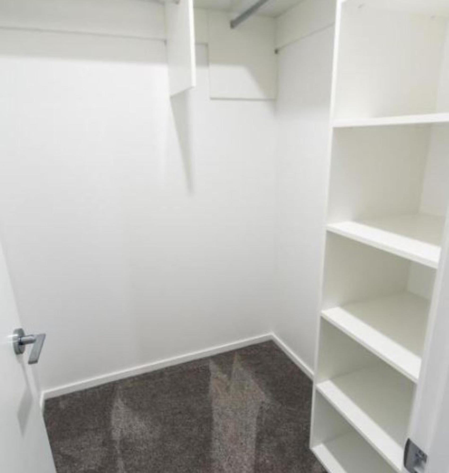Modern 3 Bed Overlooking Hagley Park Christchurch Luaran gambar